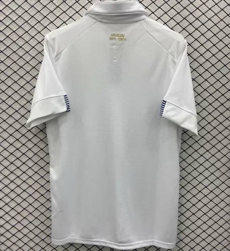 24/25 Uruguay national team away jersey