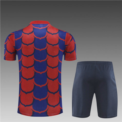 24/25 Barcelona Short sleeve training suit Red Blue