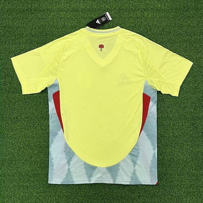 24/25 Spain Away football Jersey
