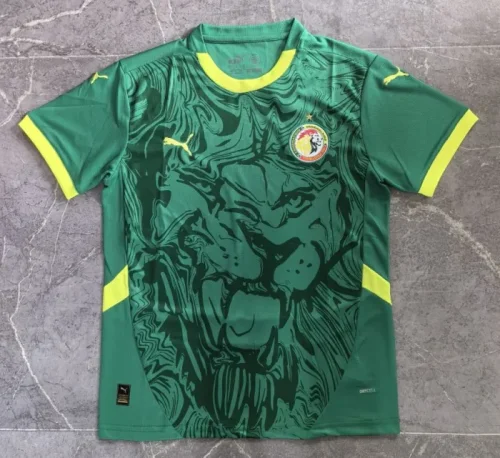 24/25 Senegal home football Jersey