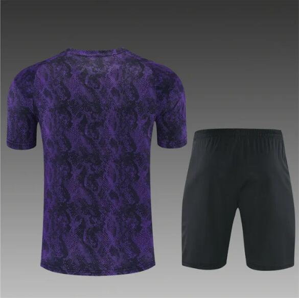 26/27 Barcelona Short sleeve Adult training suit Purple