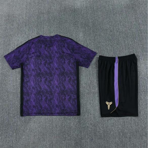 26/27 Barcelona Short sleeve Adult training suit Purple