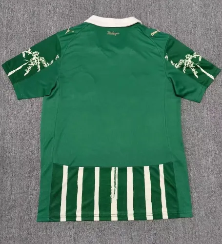 25-26 Palmeiras Special Edition Fans Soccer Jersey