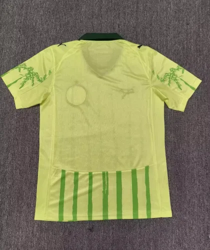 25-26 Palmeiras Special Edition Fans Soccer Jersey