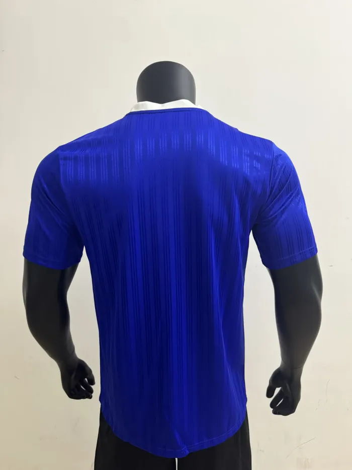 2025 AD Casual Blue Player Version Training shirts *三叶草