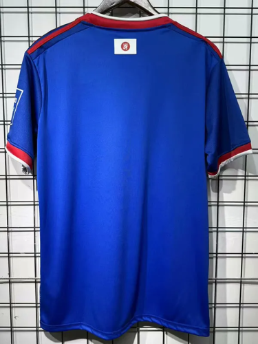 25-26 Fortuna Dusseldorf Special Edition Blue Fans Soccer Jersey
