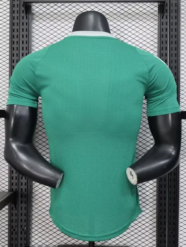 25-26 Algeria Green Player Version Training shirts