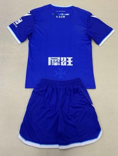 24-25 AJ Auxerre Third Adult Suit