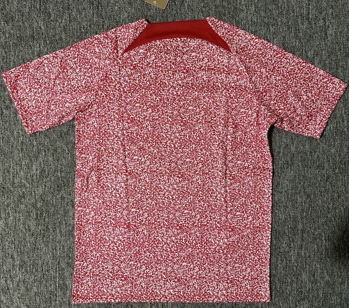 24-25 RB Leipzig Special Edition Fans Soccer Jersey