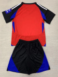 24-25 Hamburg SV Third Kids Soccer Jersey
