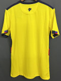 22-23 Ecuador Home World Cup Fans Soccer Jersey