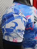 24-25 Japan Blue White Special Edition Player Version Soccer Jersey
