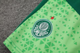 24-25 Palmeiras Light green Tank top and shorts suit
