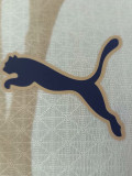 25-26 Al-Hilal khaki Player Version Soccer Jersey