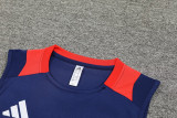 2024 AD Royal blue Tank top and shorts suit