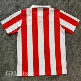 2025 Olympiacos 100th Anniversary Fans Soccer Jersey