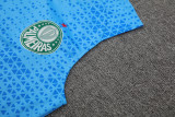 24-25 Palmeiras Lake blue Tank top and shorts suit