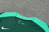 24-25 Portugal Green Training Short Suit