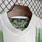 24-25 Coritiba Home Fans Soccer Jersey