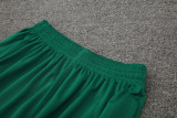 24-25 Palmeiras Light green Tank top and shorts suit
