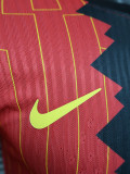 24-25 LIV Special Edition Player Version Training Shirts *三混色