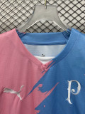 23-24 Palmeiras Pink Blue Special Edition Training shirts