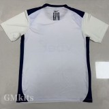 25-26 Botafogo Beige Training shirts