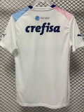 23-24 Palmeiras White Pink Blue Special Edition Training shirts