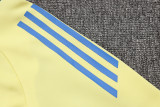 24-25 Ajax Yellow Half Pull Tracksuit (半拉链)
