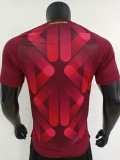 25-26 Germany  W Away Player Version Soccer Jersey *2星