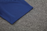 24-25 Palmeiras Royal blue Training Short Suit