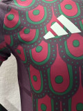 24-25 Mexico Home Long Sleeve Player Version Soccer Jersey (长袖球员)