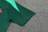 24-25 Portugal Green Training Short Suit