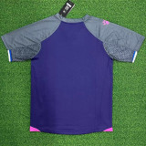 24-25 RCD Espanyol Away Fans Soccer Jersey