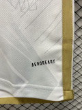 2023 RMA Special Edition White Fans Training Shirts (白金龙)