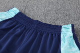 24-25 Flamengo Royal blue Training Short Suit