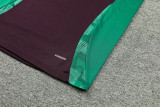 24-25 Mexico Maroon Tank top and shorts suit