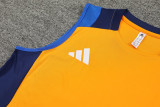 2024 AD Orange Tank top and shorts suit