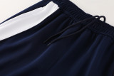 2024 AD Royal Blue Jacket Tracksuit #AJ17
