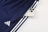 24-25 Al-Nassr Royal blue Jacket Tracksuit #01