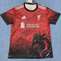 24-25 LIV Red Special Edition Fans Training shirts