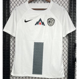 24-25 Slovenia Home Fans Soccer Jersey