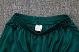24-25 Palmeiras Dark green Jacket Tracksuit #A742