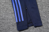 25-26 AL-Nassr Royal blue Polo Tracksuit