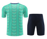24-25 BAR Lake Blue Training Short Suit