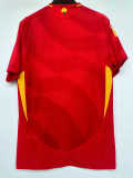 24-25 Spain Home Player Version Soccer Jersey