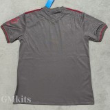 24-25 Bayern Grey 125th Anniversary Fans Soccer Jersey *灰色