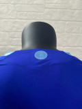 24-25 Argentina Away Long Sleeve Player Version Soccer Jersey (长袖球员)