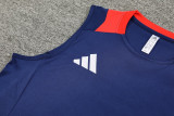 2024 AD Royal blue Tank top and shorts suit