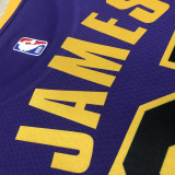 22-23 LAKERS JAMES #23 Purple Top Quality Hot Pressing NBA Jersey (Trapeze Edition)
